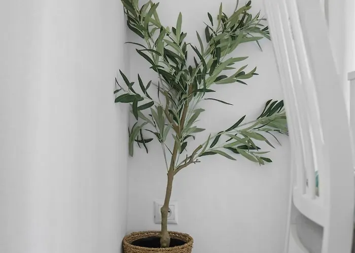 Apartament Seascape Blanc *