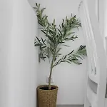 Apartman Seascape Blanc *